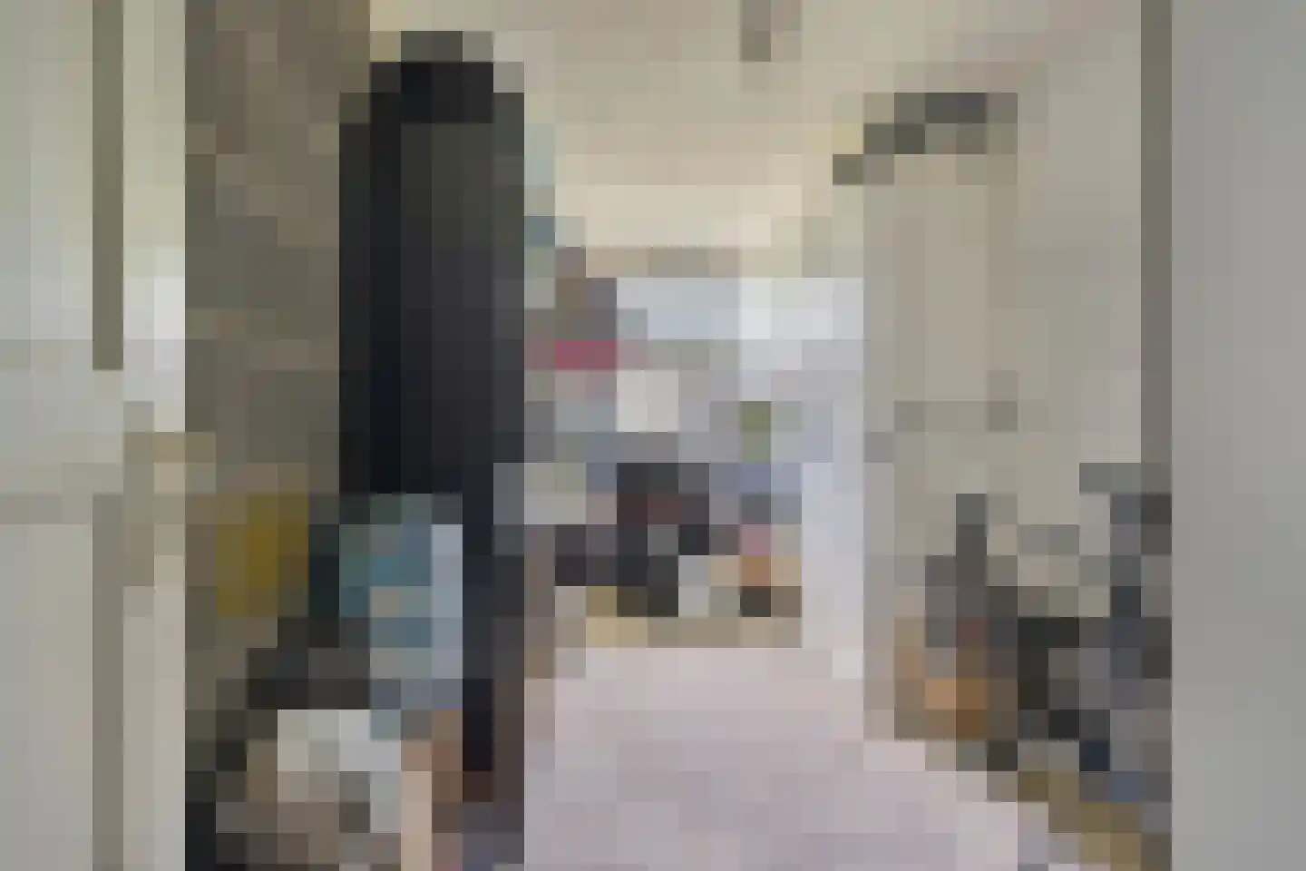 Van Ostadelaan 170 Alkmaar thumbnail 26