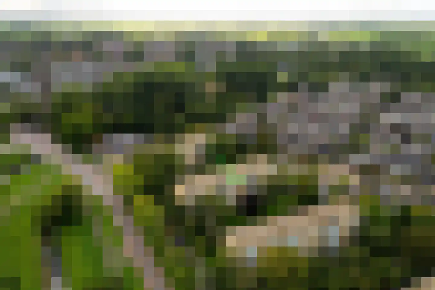 Van Ostadelaan 170 Alkmaar thumbnail 33
