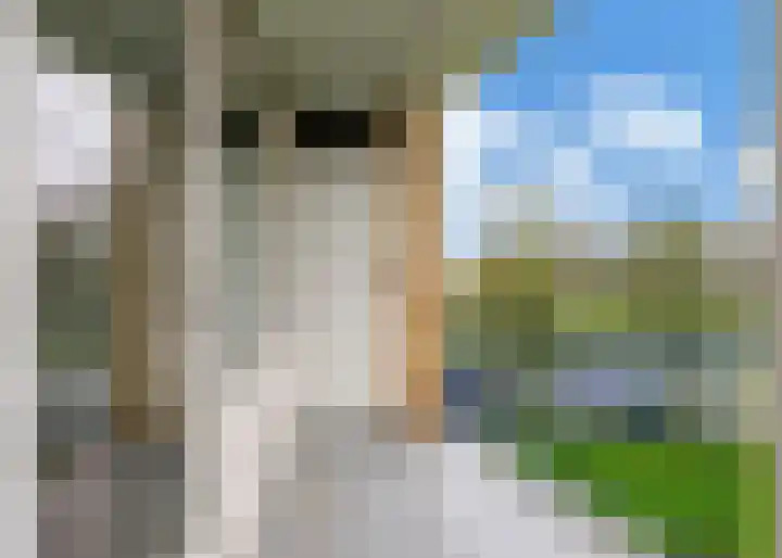 Van Ostadelaan 172 Alkmaar thumbnail 13