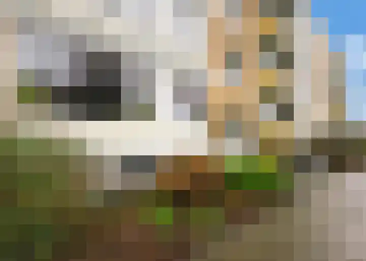 Van Ostadelaan 172 Alkmaar thumbnail 22