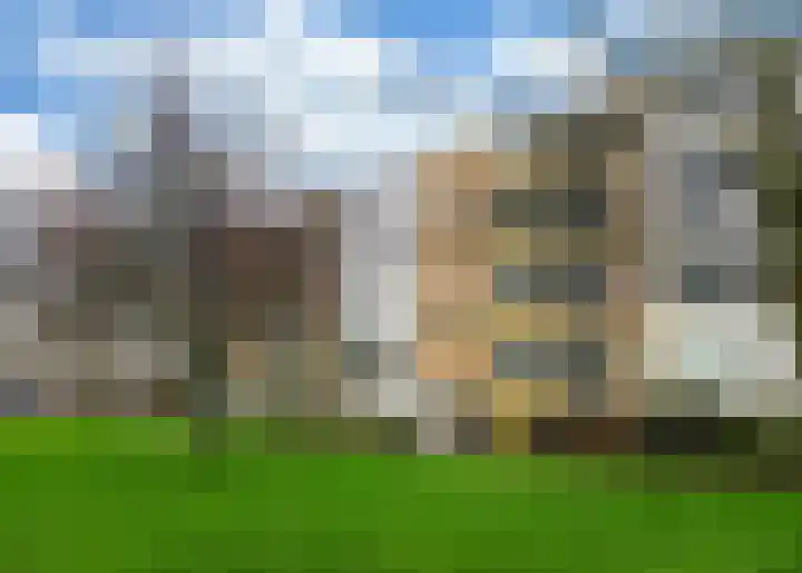 Van Ostadelaan 172 Alkmaar thumbnail 23