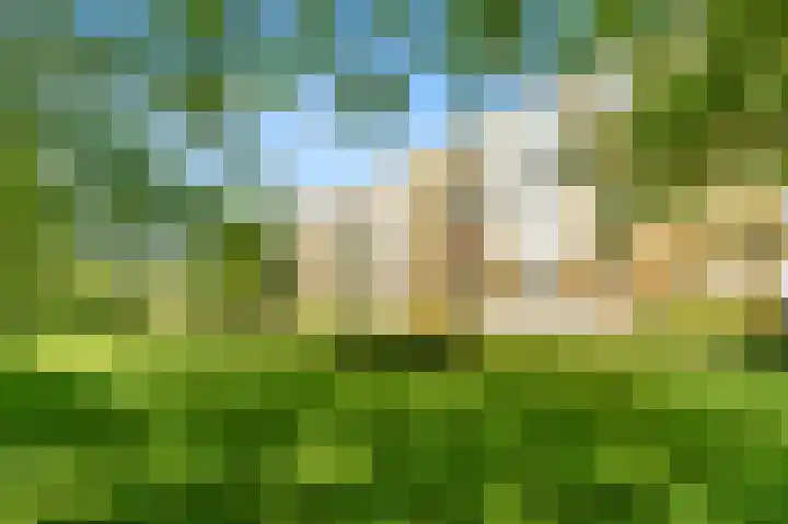 Van Ostadelaan 176 in Alkmaar