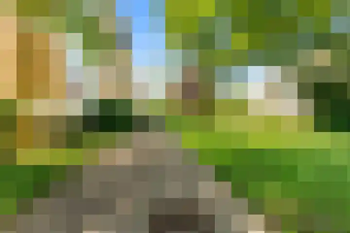Van Ostadelaan 176 Alkmaar thumbnail 24