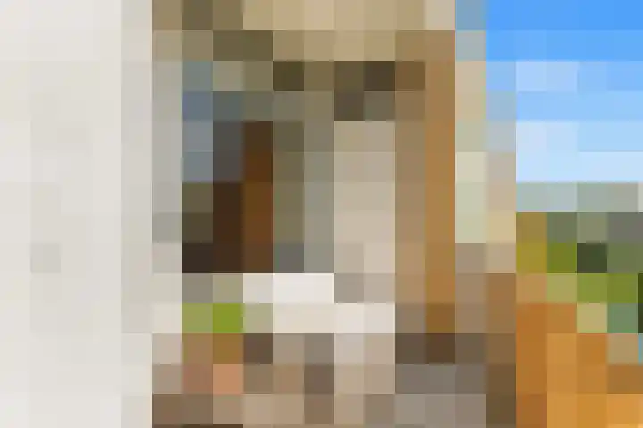 Van Ostadelaan 176 Alkmaar thumbnail 4