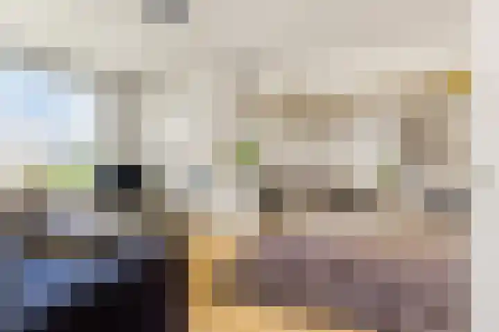 Van Ostadelaan 176 Alkmaar thumbnail 8