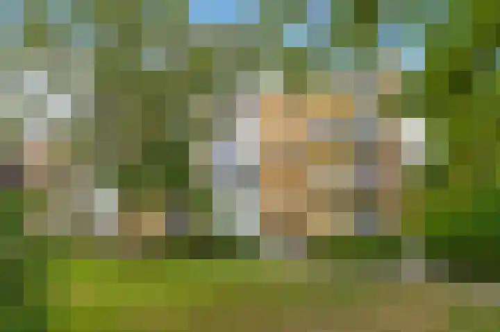 Van Ostadelaan 178 in Alkmaar