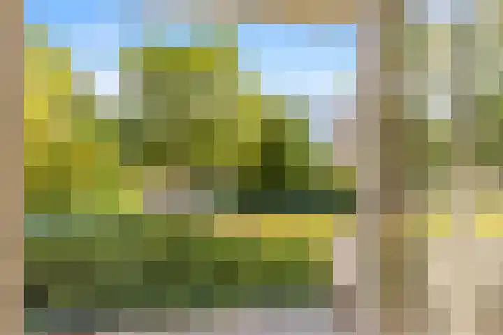 Van Ostadelaan 178 Alkmaar thumbnail 16