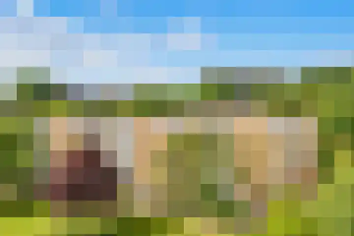 Van Ostadelaan 178 Alkmaar thumbnail 25