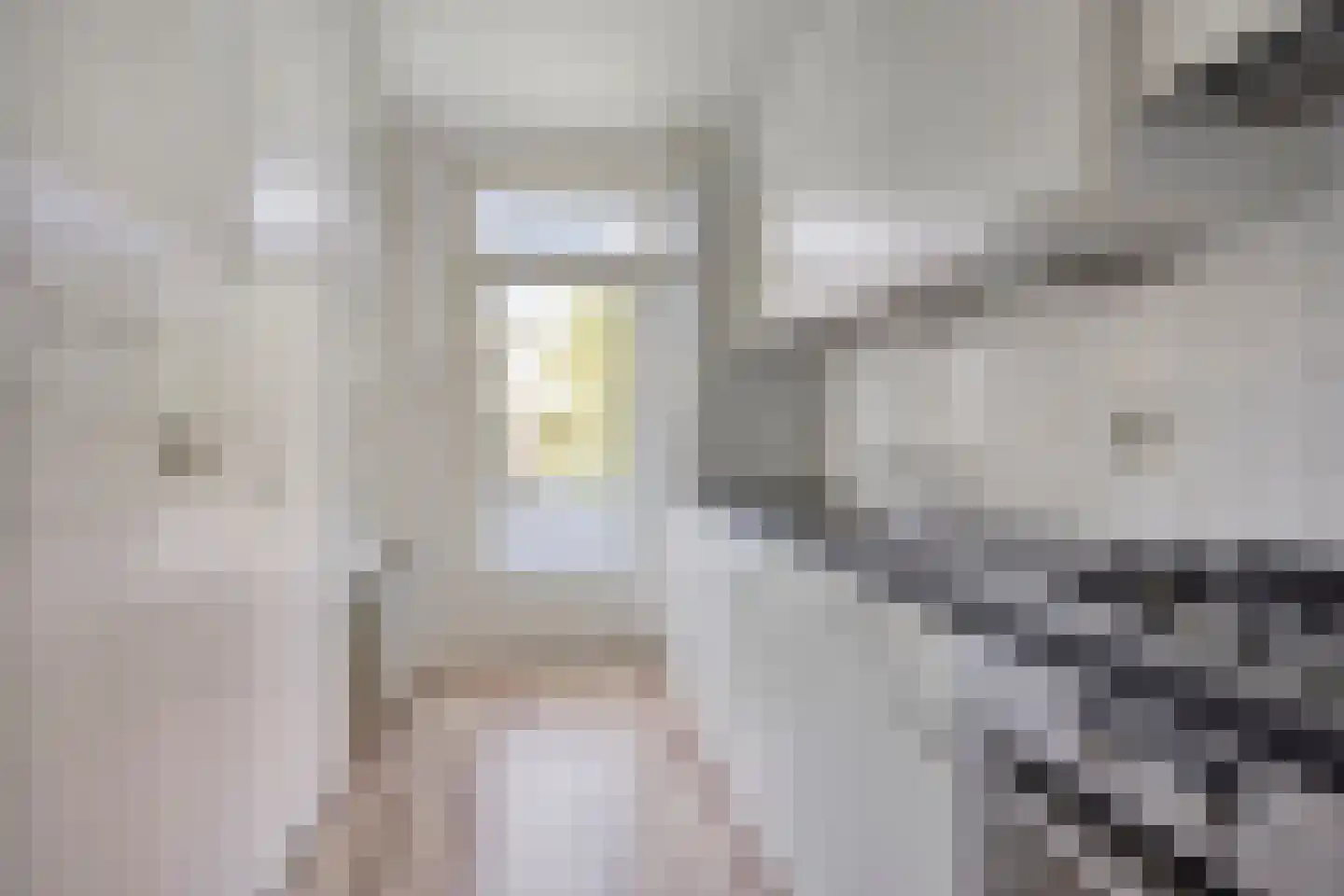 Van Ostadelaan 188 Alkmaar thumbnail 12