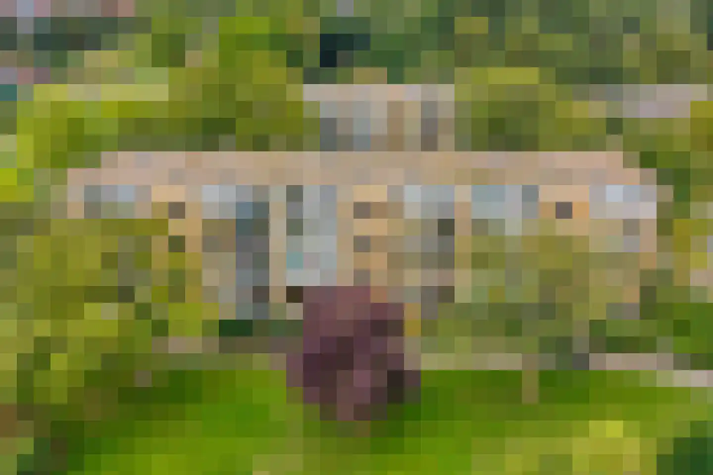 Van Ostadelaan 188 Alkmaar thumbnail 21