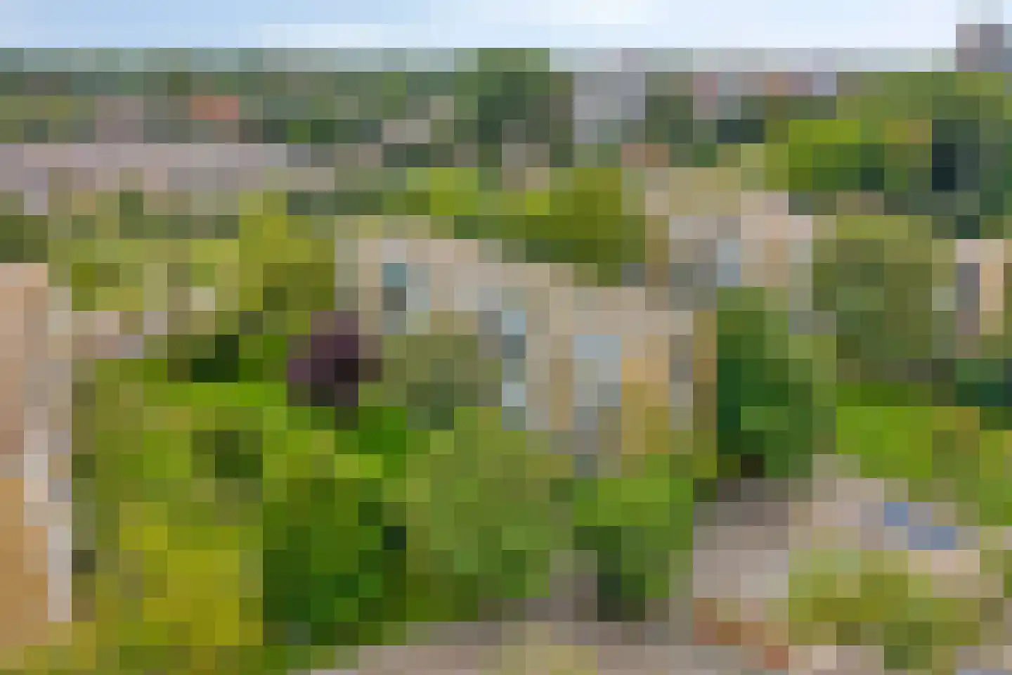 Van Ostadelaan 188 Alkmaar thumbnail 23