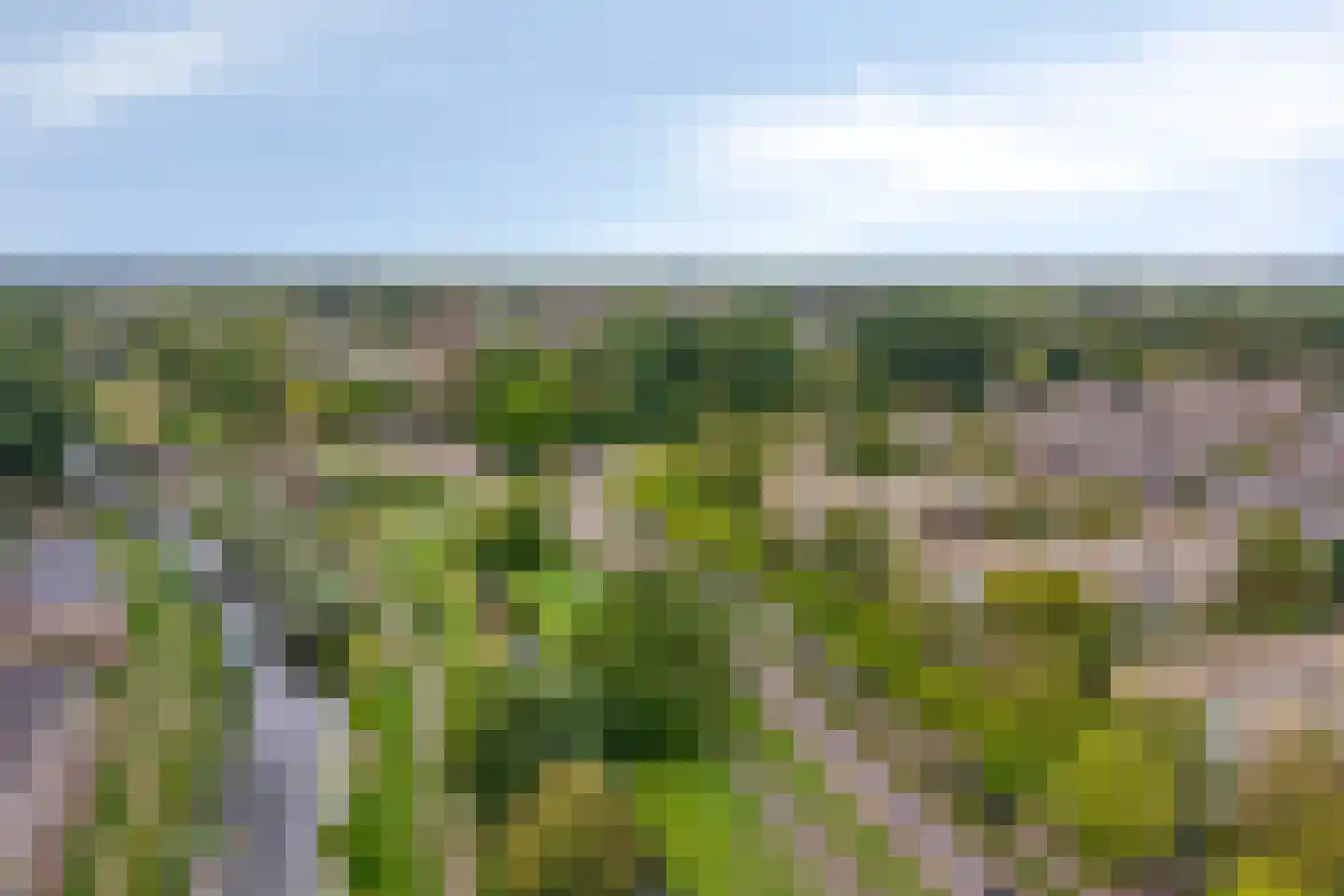 Van Ostadelaan 188 Alkmaar thumbnail 25
