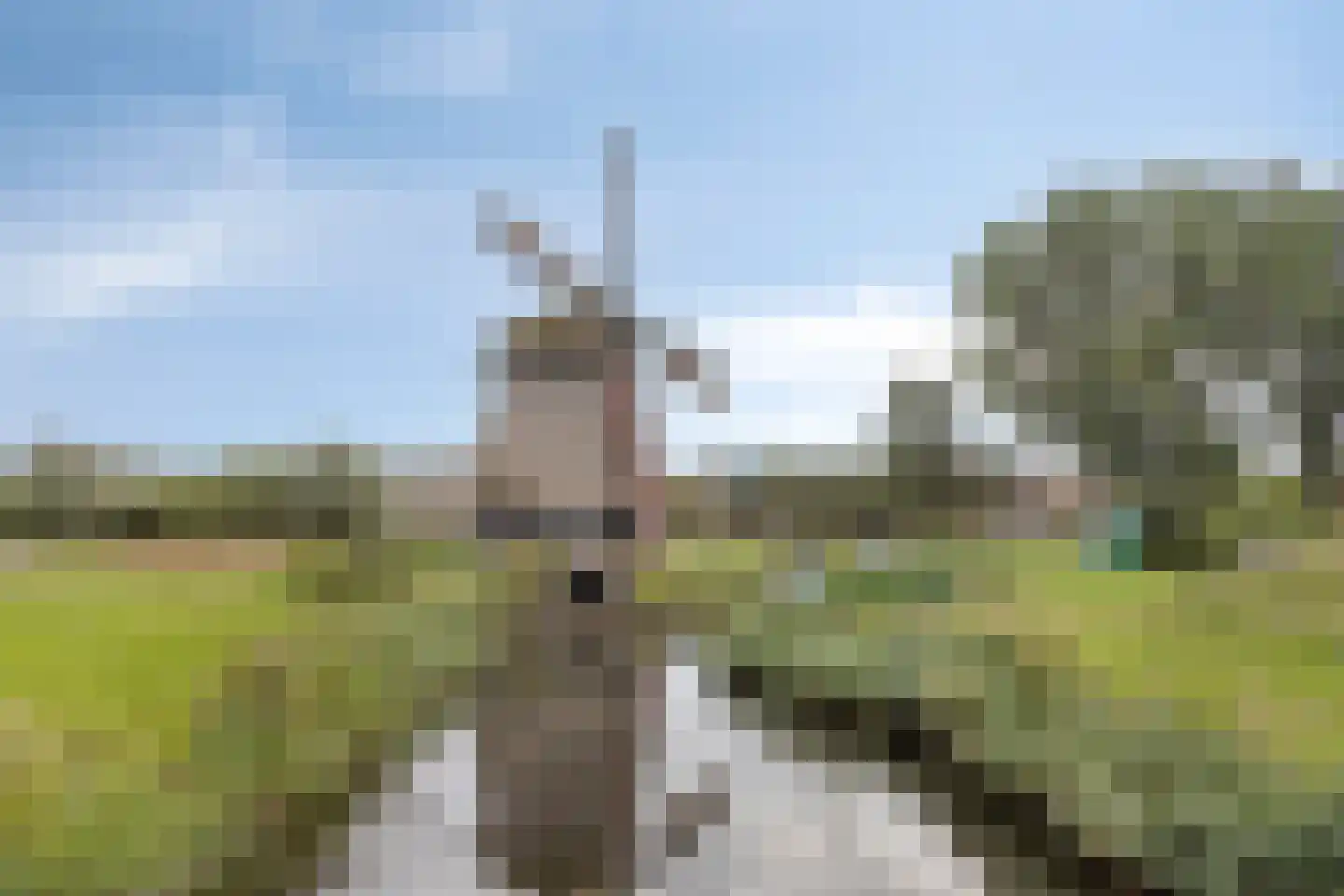 Van Ostadelaan 188 Alkmaar thumbnail 26