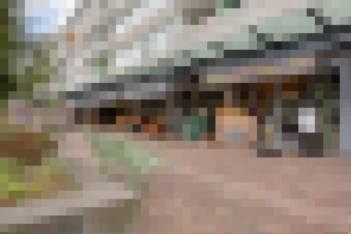 Van Ostadelaan 188 Alkmaar thumbnail 28