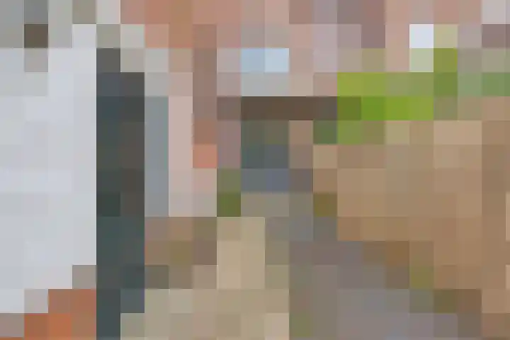 Van Ostadelaan 20 B Schiedam thumbnail 25