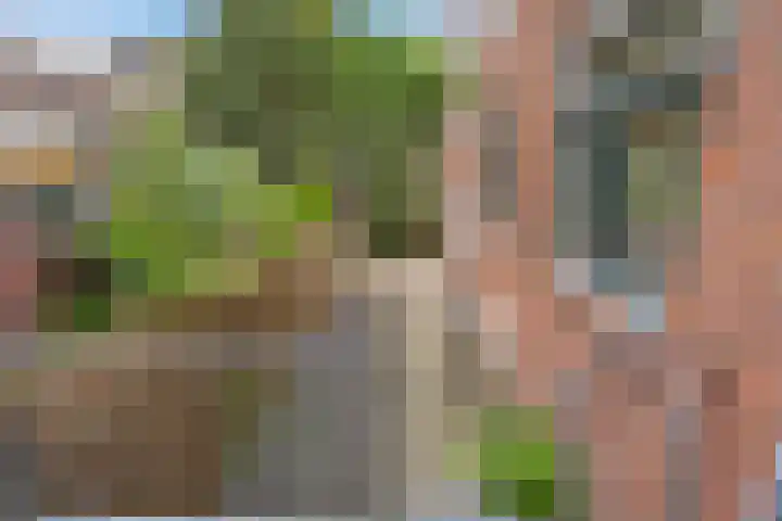Van Ostadelaan 20 B Schiedam thumbnail 28