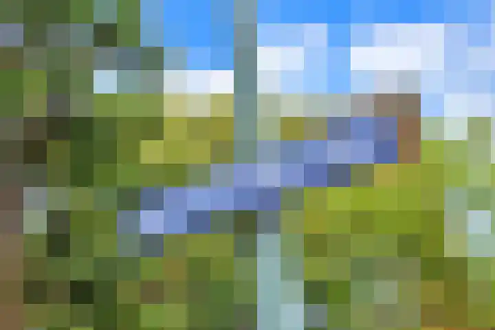 Van Ostadelaan 20 B Schiedam thumbnail 30