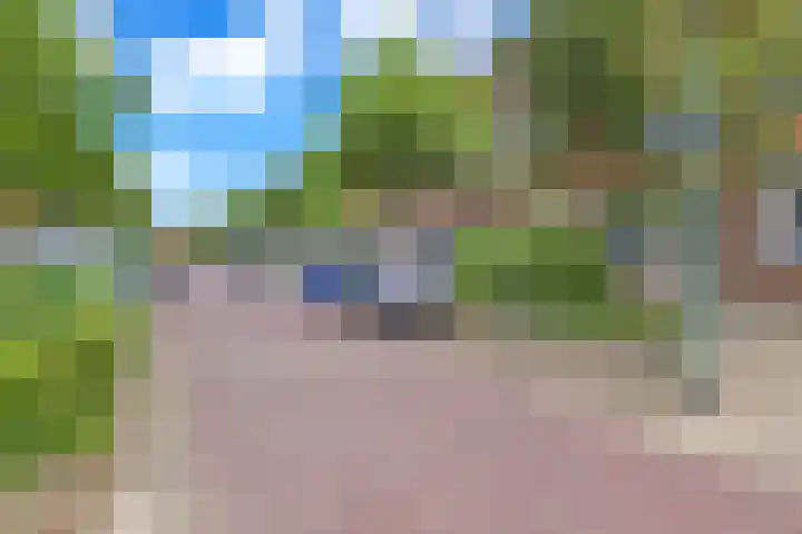 Van Ostadelaan 20 B Schiedam thumbnail 32