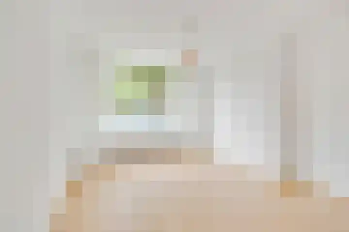 Van Ostadelaan 20 B Schiedam thumbnail 9