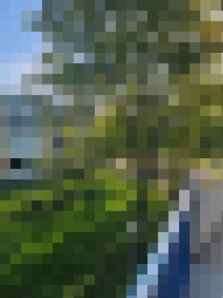 Van Ostadelaan 202 Alkmaar thumbnail 18