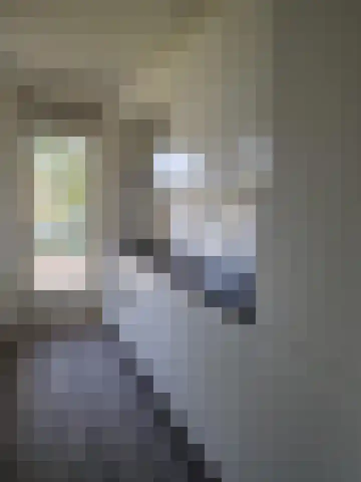 Van Ostadelaan 202 Alkmaar thumbnail 5