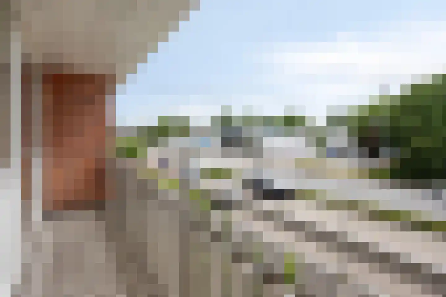 van Ostadelaan 21 Krimpen aan den IJssel thumbnail 17