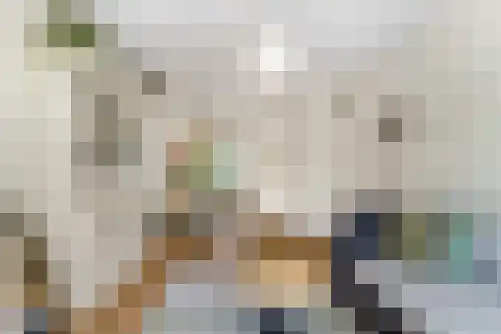 Van Ostadelaan 218 Alkmaar thumbnail 12