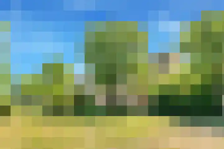 Van Ostadelaan 218 Alkmaar thumbnail 33