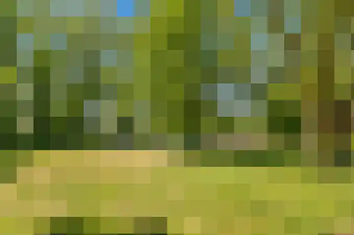 Van Ostadelaan 218 Alkmaar thumbnail 36