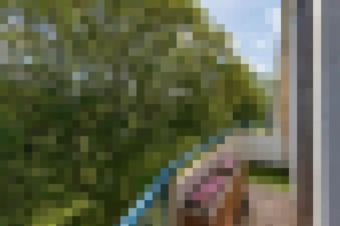 Van Ostadelaan 238 Alkmaar thumbnail 25
