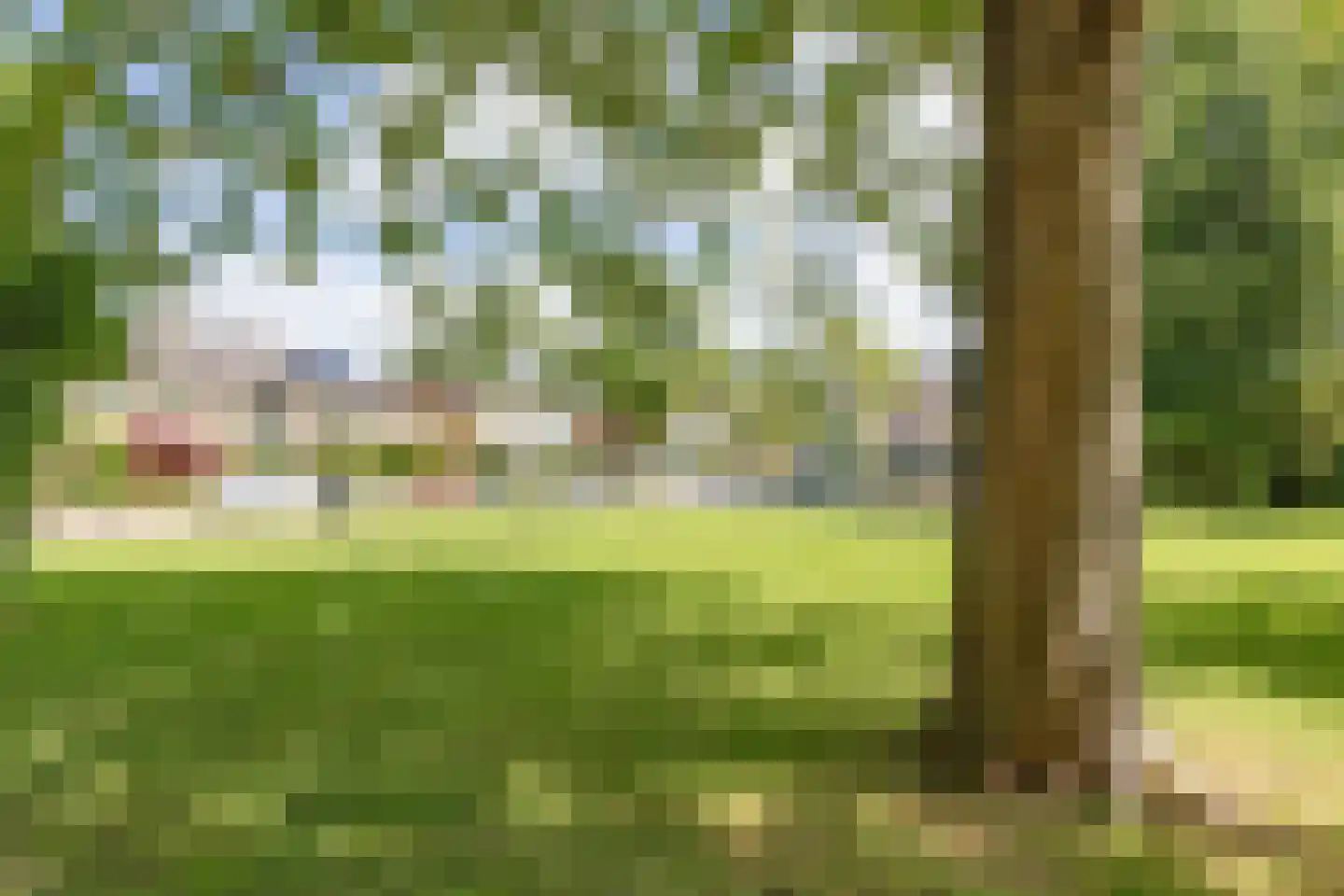Van Ostadelaan 238 Alkmaar thumbnail 28