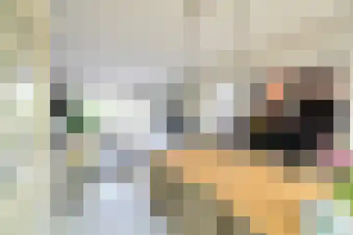 van Ostadelaan 25 Muiderberg thumbnail 11