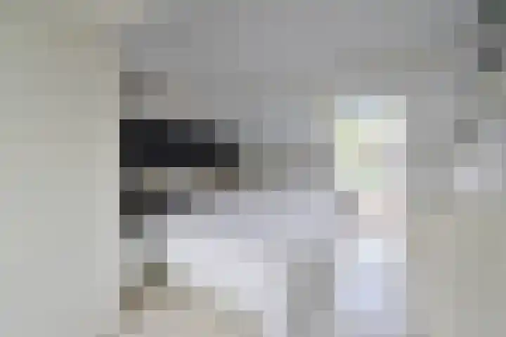 van Ostadelaan 25 Muiderberg thumbnail 15