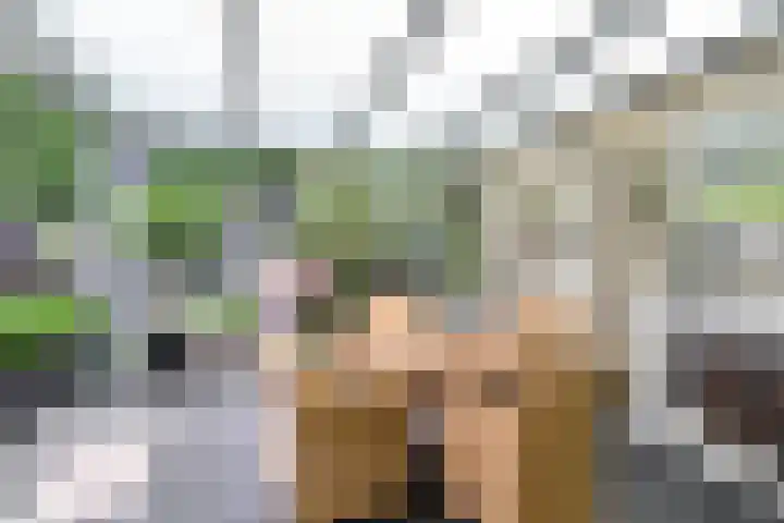 van Ostadelaan 25 Muiderberg thumbnail 18