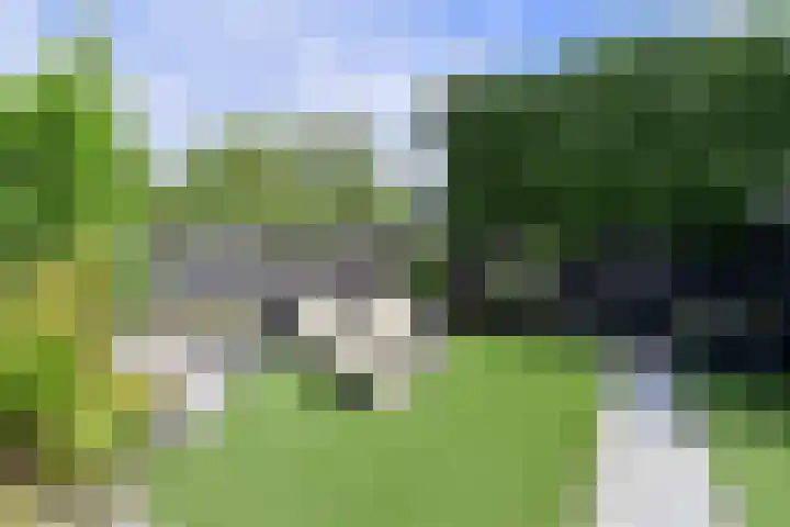 van Ostadelaan 25 Muiderberg thumbnail 20