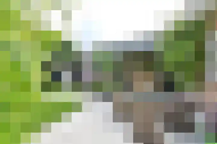 van Ostadelaan 25 Muiderberg thumbnail 21