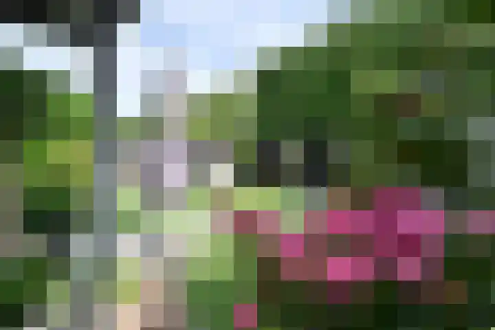 van Ostadelaan 25 Muiderberg thumbnail 22