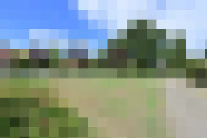 van Ostadelaan 25 Muiderberg thumbnail 23