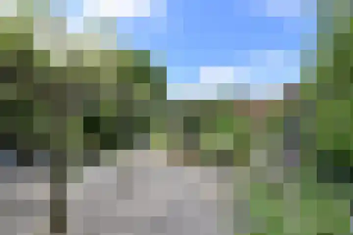 van Ostadelaan 25 Muiderberg thumbnail 6