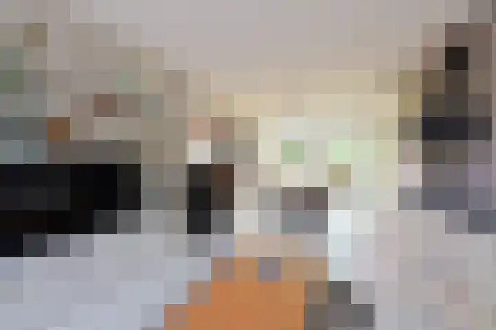 van Ostadelaan 25 Muiderberg thumbnail 8