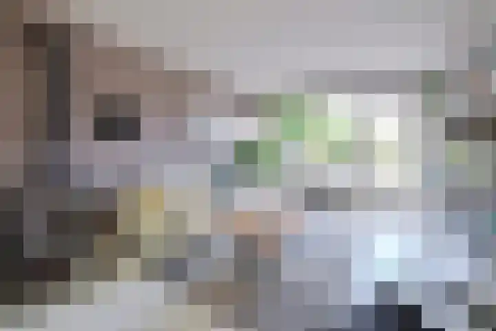 van Ostadelaan 25 Muiderberg thumbnail 9