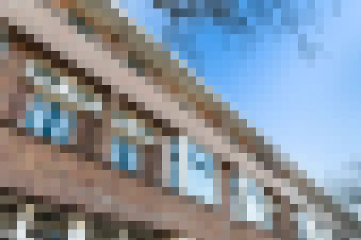 Van Ostadelaan 27 A Schiedam thumbnail 27