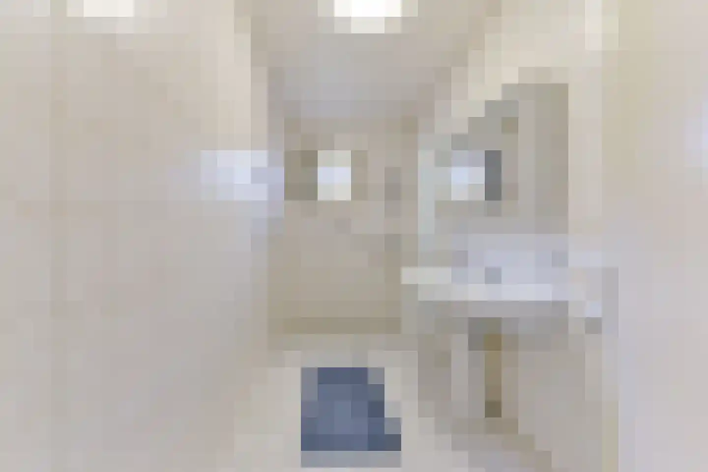 Van Ostadelaan 3 Huis ter Heide thumbnail 27