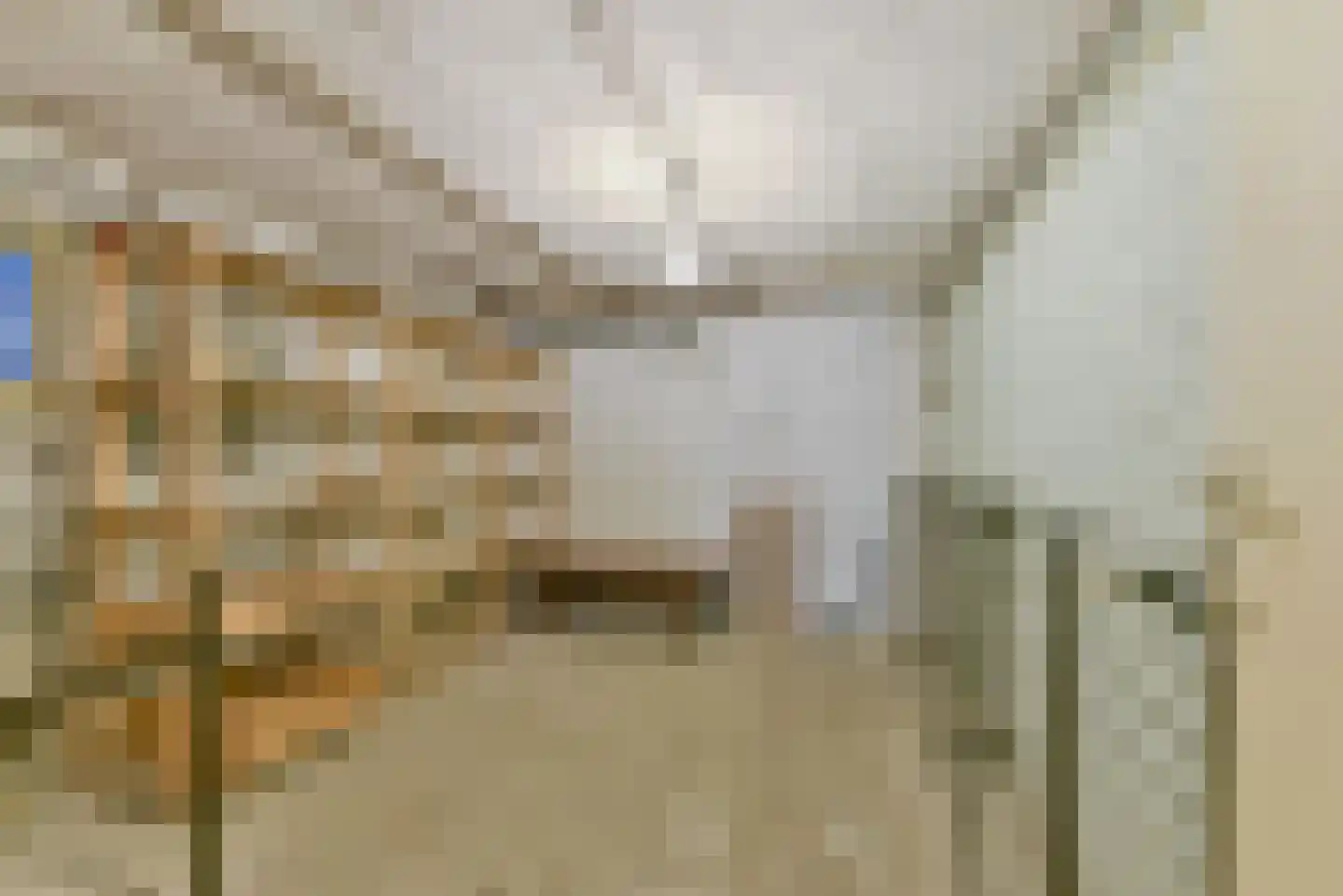 Van Ostadelaan 3 Huis ter Heide thumbnail 31