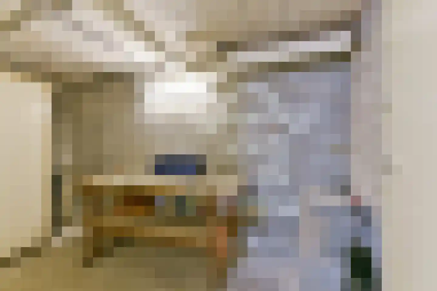 Van Ostadelaan 3 Huis ter Heide thumbnail 32