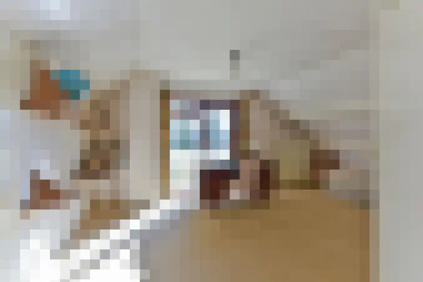 Van Ostadelaan 3 Huis ter Heide thumbnail 4