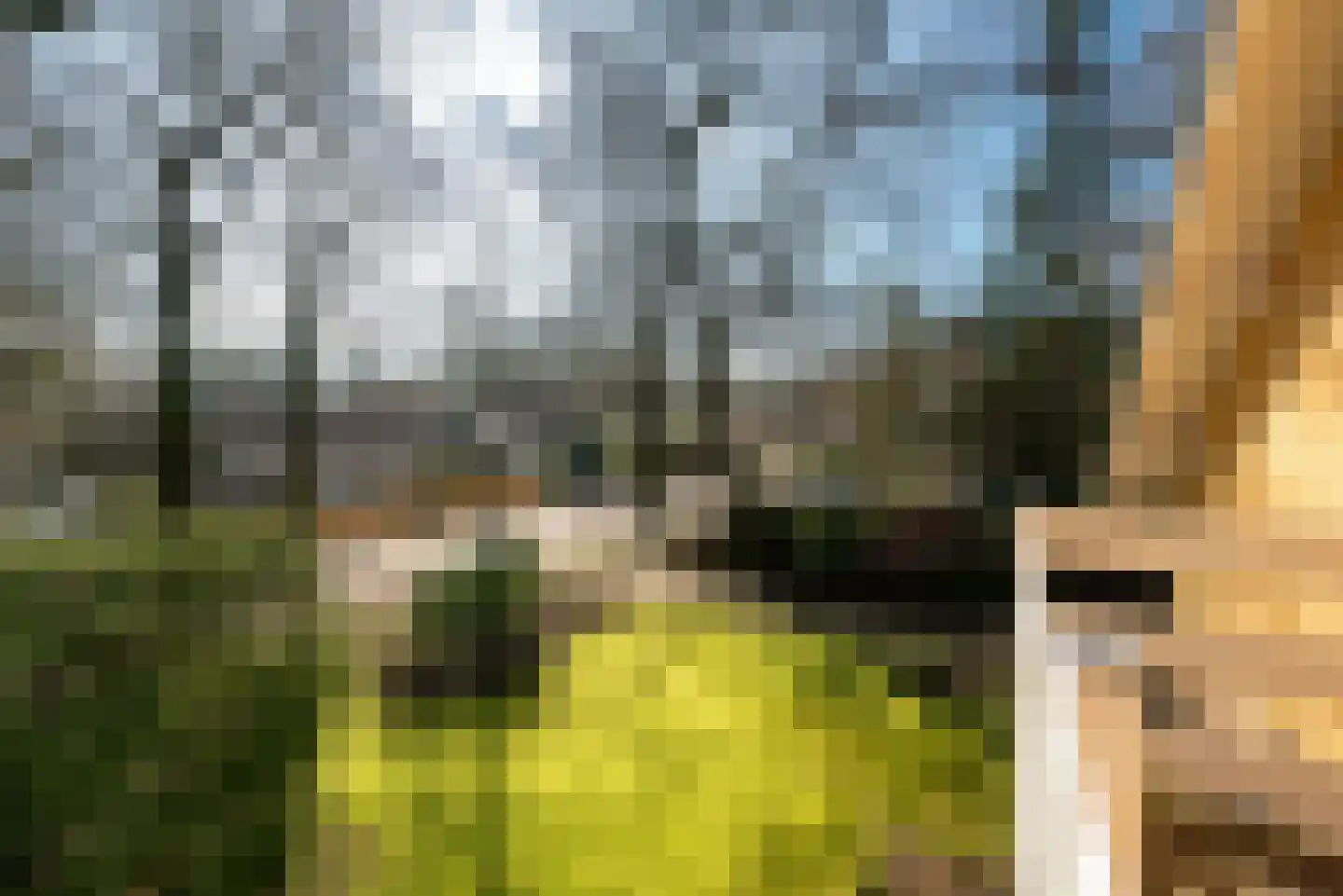 Van Ostadelaan 3 Huis ter Heide thumbnail 40