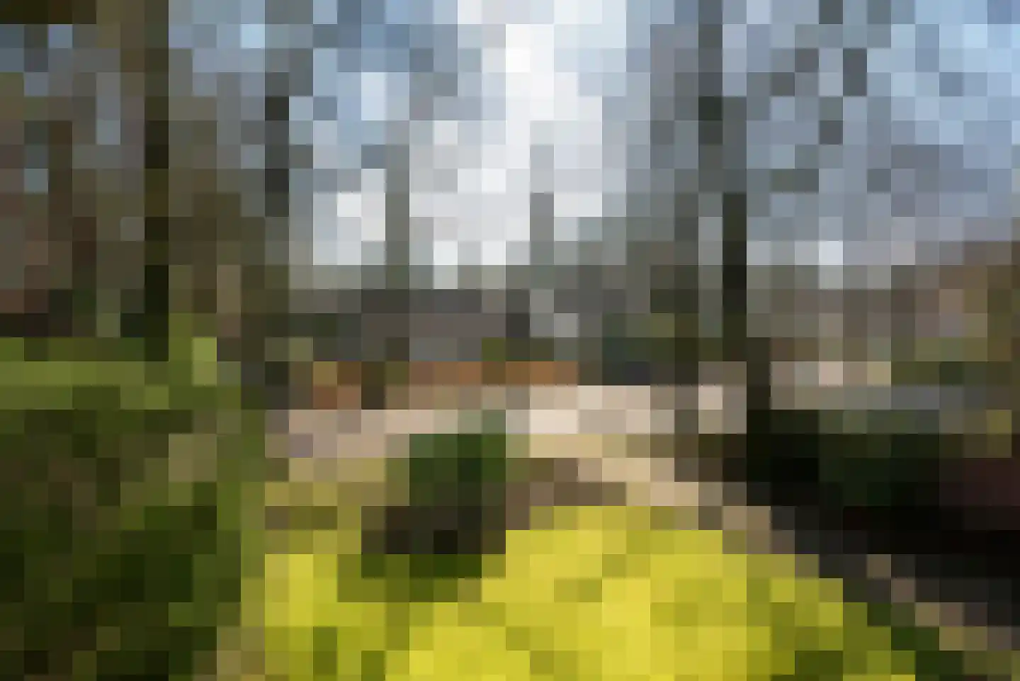 Van Ostadelaan 3 Huis ter Heide thumbnail 41