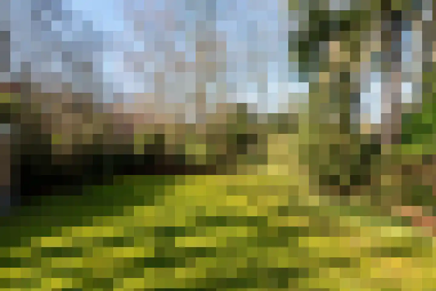 Van Ostadelaan 3 Huis ter Heide thumbnail 47