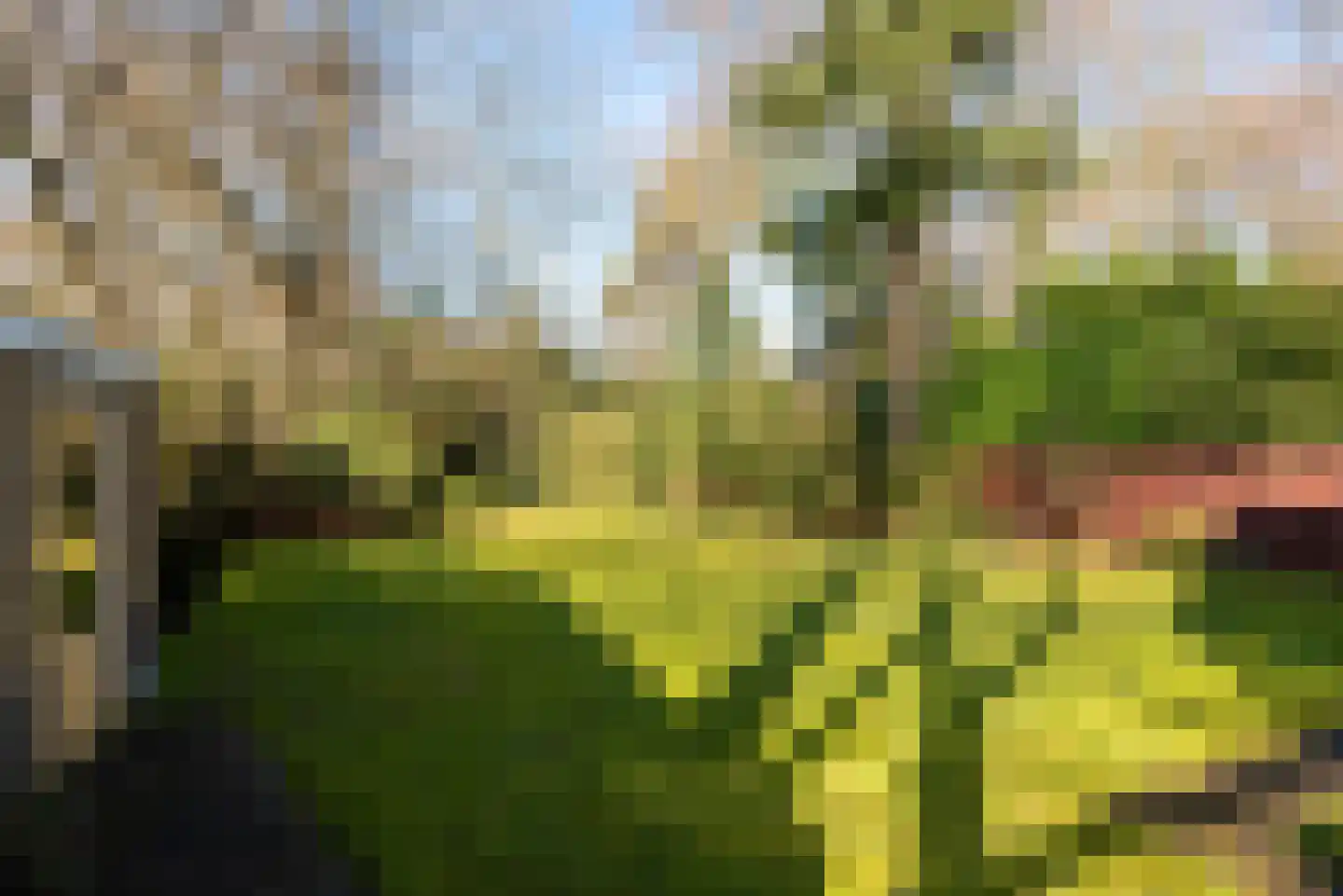 Van Ostadelaan 3 Huis ter Heide thumbnail 48
